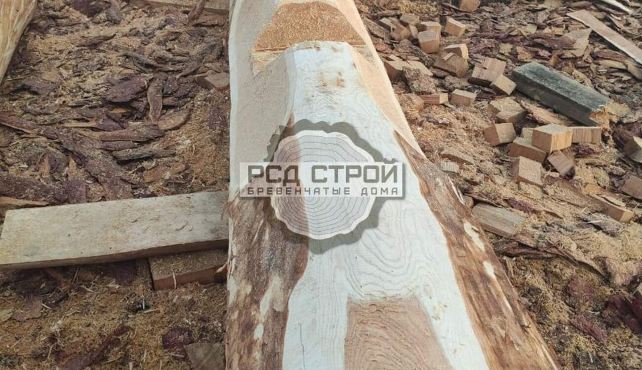 Рубка дома по проекту Таёжный угол